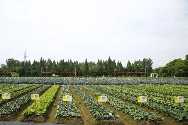 2022浙江種業(yè)博覽會(huì)明日盛大開幕，助推現(xiàn)代種業(yè)創(chuàng)新發(fā)展