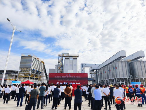 甘肅農(nóng)墾亞盛種業(yè)中墾玉種子加工廠在張掖落成，助力種業(yè)現(xiàn)代化發(fā)展